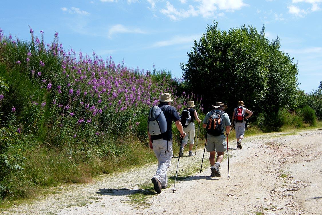 la pelerine voyages compostelle