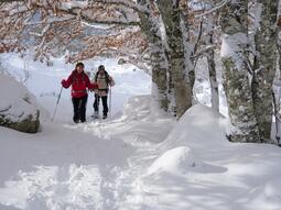 Séjour réveillon en Ardèche en raquettes