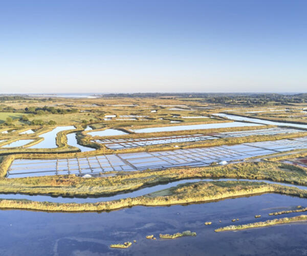 Séjour Réveillon Bretagne : La Presqu&#039;île Guérandaise