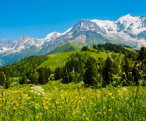 Alpes : Les Panoramas du Mont-Blanc