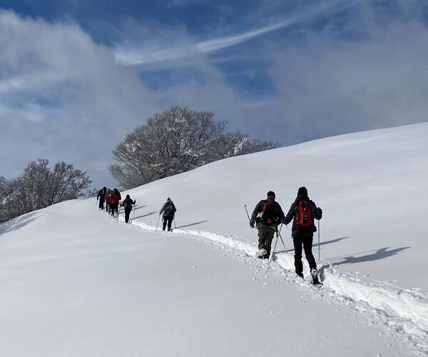 Auvergne : Les Monts du Cantal en hiver