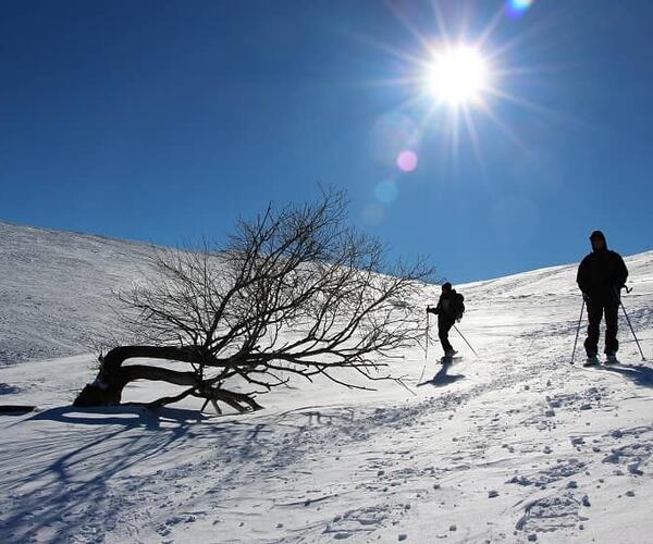 Auvergne : Les Monts du Cantal en hiver