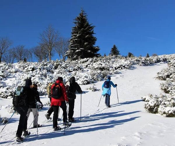 Auvergne : Les Monts du Cantal en hiver