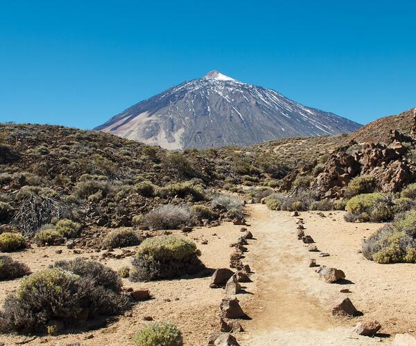 Espagne Canaries : Île de Tenerife