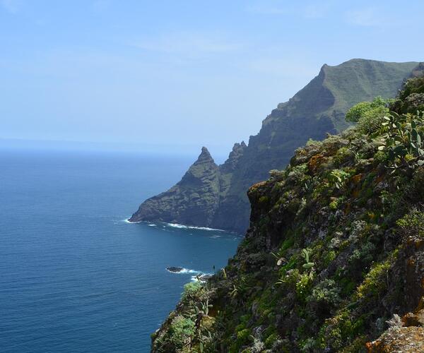 Espagne Canaries : Île de Tenerife