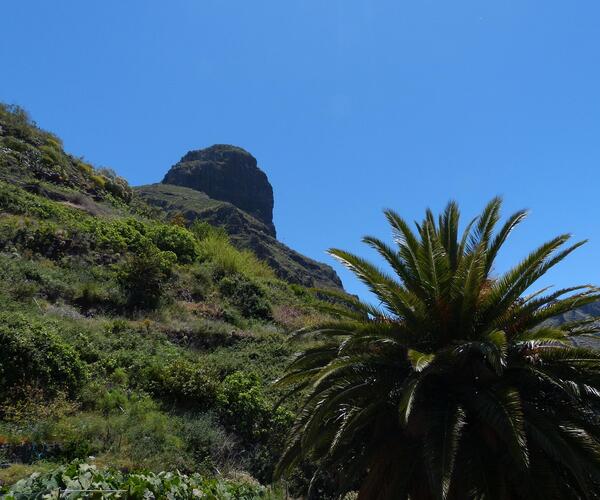 Espagne Canaries : Île de Tenerife