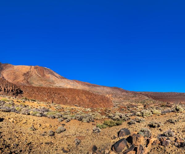 Espagne Canaries : Île de Tenerife