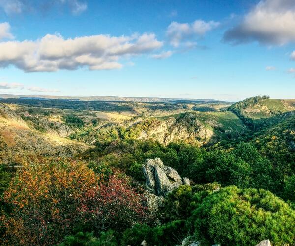 Auvergne : Vallée et Gorges de l&#039;Allier l&#039;intégral