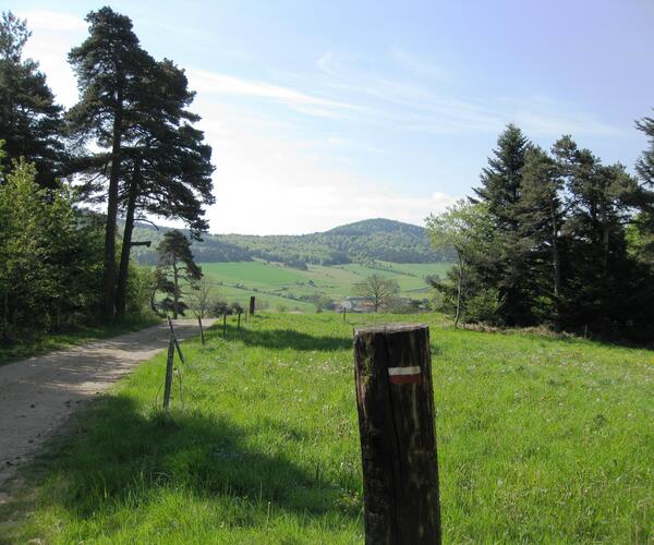 Auvergne : Le Tour des volcans du Velay