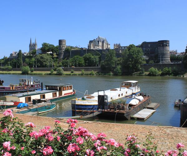 Anjou : Douceur angevine, de Loire en coteaux