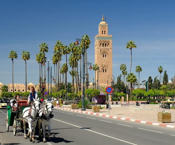 Maroc : La Caravane du désert