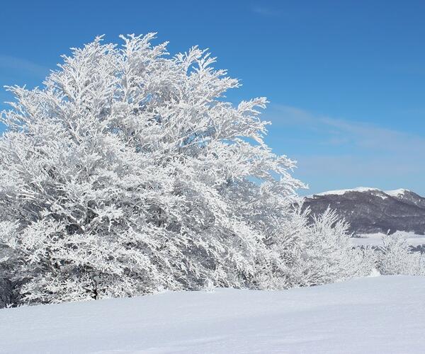 Auvergne : Les Monts du Cantal en hiver