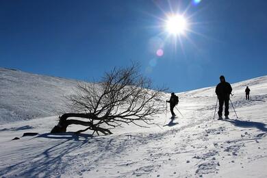 Auvergne : Les Monts du Cantal en hiver