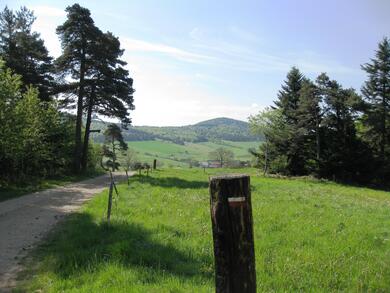 Auvergne : Le Tour des volcans du Velay